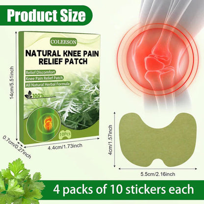 FreshFades™ - Natural Knee Pain Relief Patches⭐⭐⭐⭐⭐(Reviews)